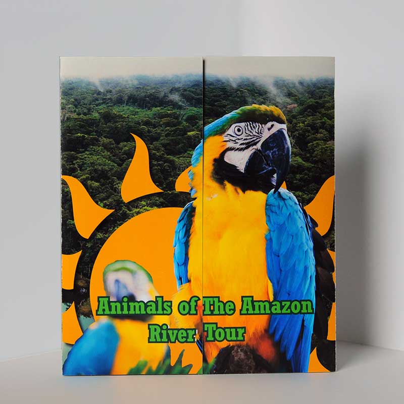 joseph-romano-amazon-tour-inner-fold