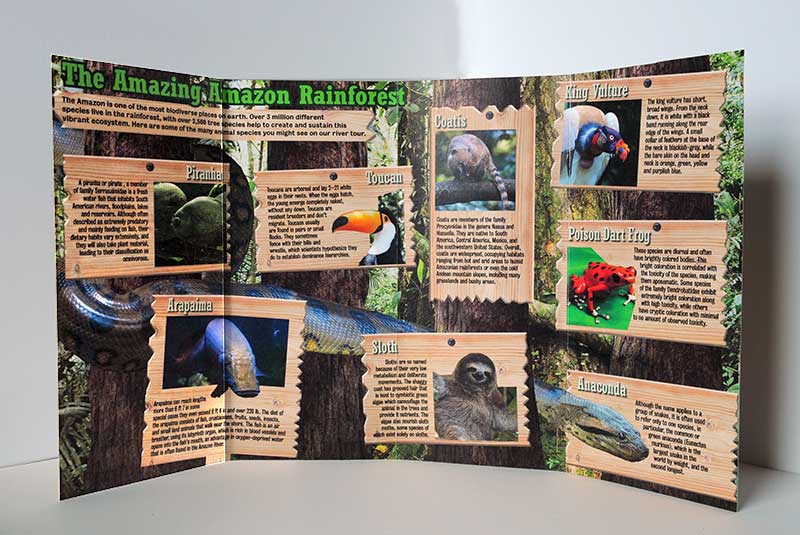 joseph-romano-amazon-tour-inside-infograph