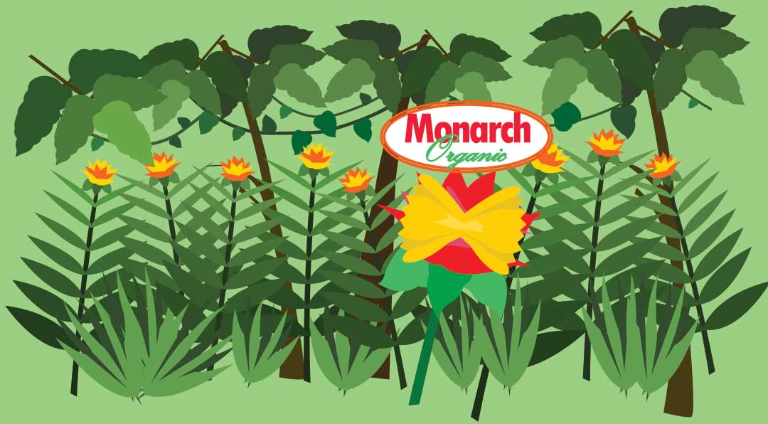 monarch-pasta-assets-1