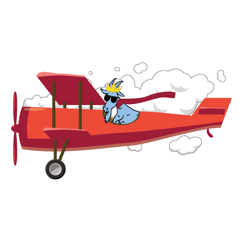 joseph-romano-goat-in-plane