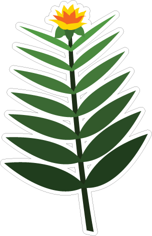 joseph-romano-monarch-pasta-flower-full bedell-updated-logo